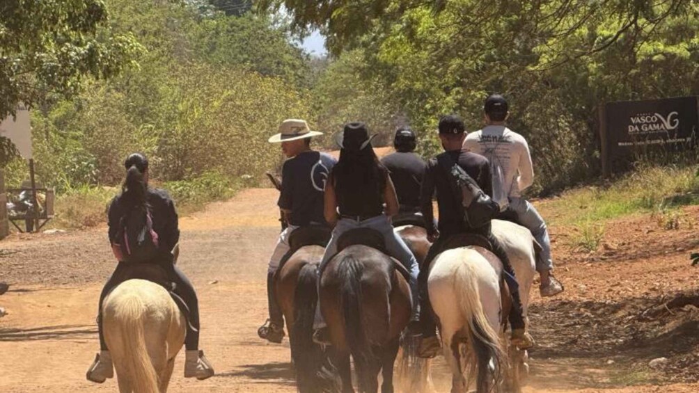 A group of people riding horses on a dirt road surrounded by trees. 4