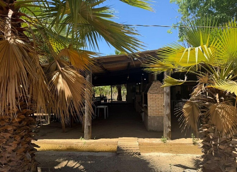 A covered outdoor area with palm trees, a brick structure, and a gravel path. 3