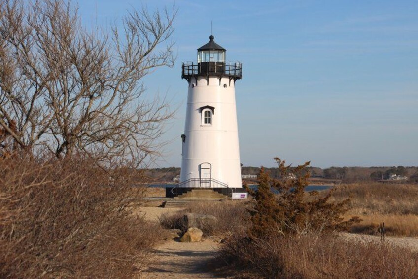 A white lighthouse with a black top, surrounded by dry grass and leafless trees. 2