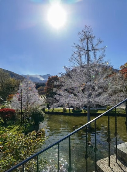 A garden with cherry blossom trees, a pond, and a mountain in the background. 5