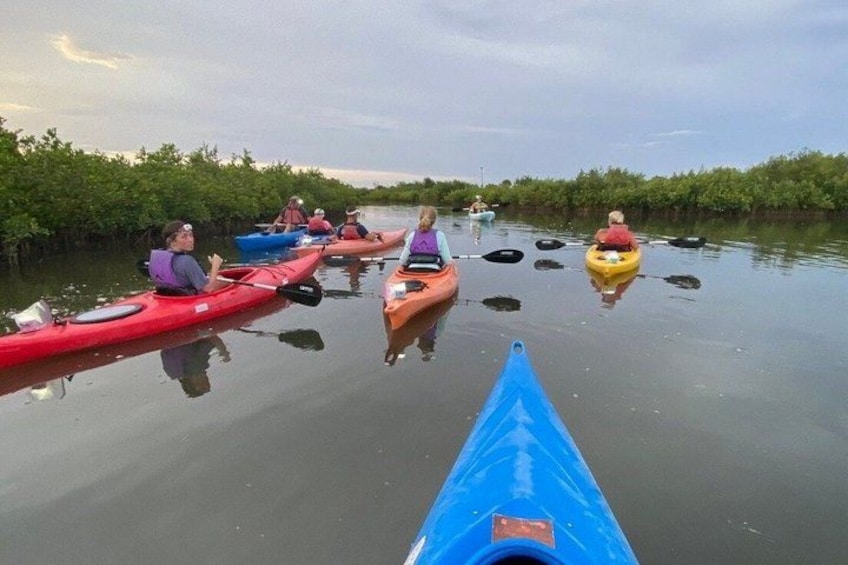 People kayaking on a calm river surrounded by mangrove trees. 1
