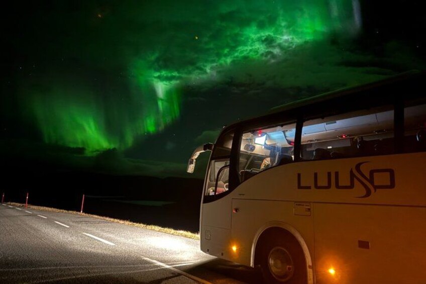 A bus with 'LOU SO' branding, parked on a road with green aurora lights in the background. 4