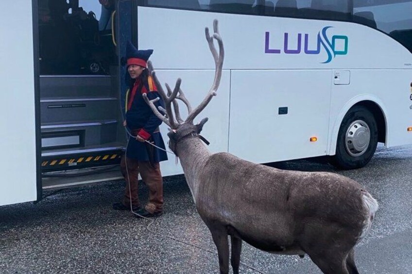 A person in a costume standing next to a bus with a deer in front. 5