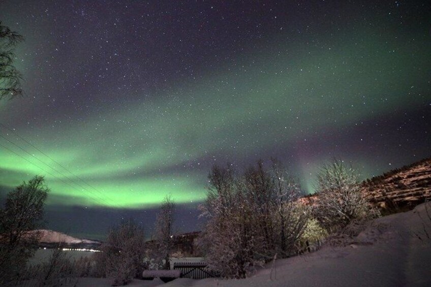 A night sky with the aurora borealis, a snowy landscape, and a road. 2