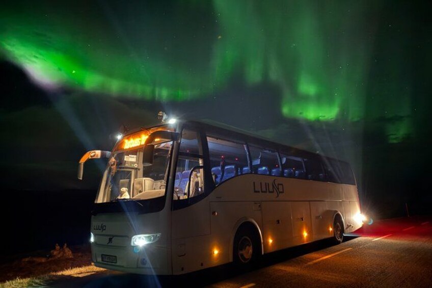A bus with 'LUUJO' written on the side, parked on a road with green aurora lights in the background. 3