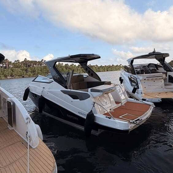 En rad vita motorbåtar låg förtöjda vid en småbåtshamn, med en stilla sjö och träd i bakgrunden. 1