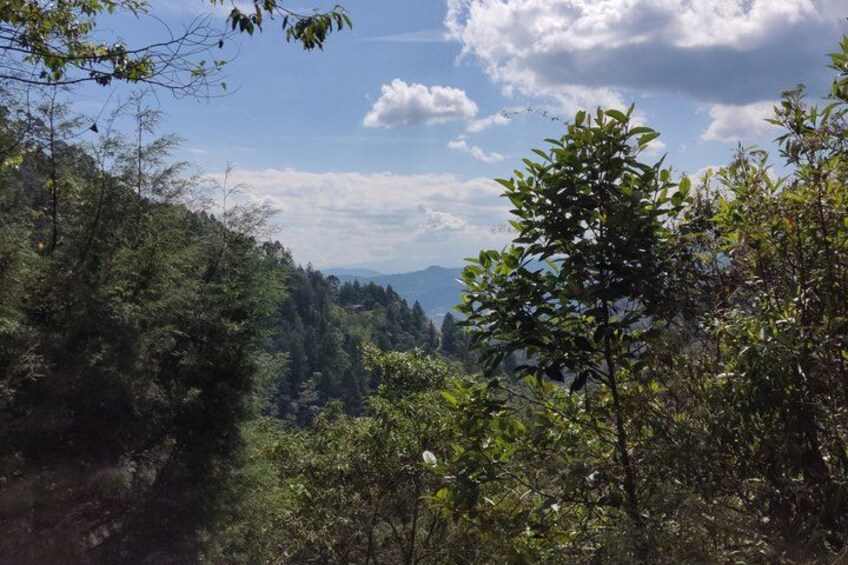 A forested landscape with dense trees and a distant mountain range under a partly cloudy sky. 5