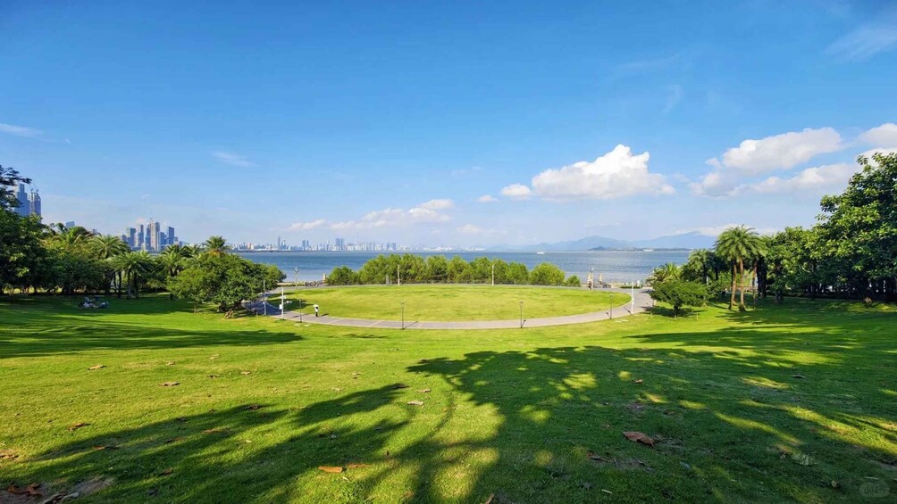 Een park met een rond gazon, bomen en een stadsachtergrond. 2