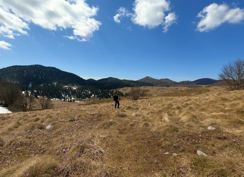 A hiker on a grassy field with mountains in the background and a clear sky. 2