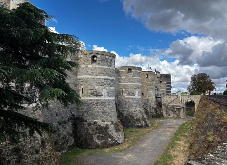 Un castillo de piedra medieval con un foso y un camino que lleva a la entrada. 1