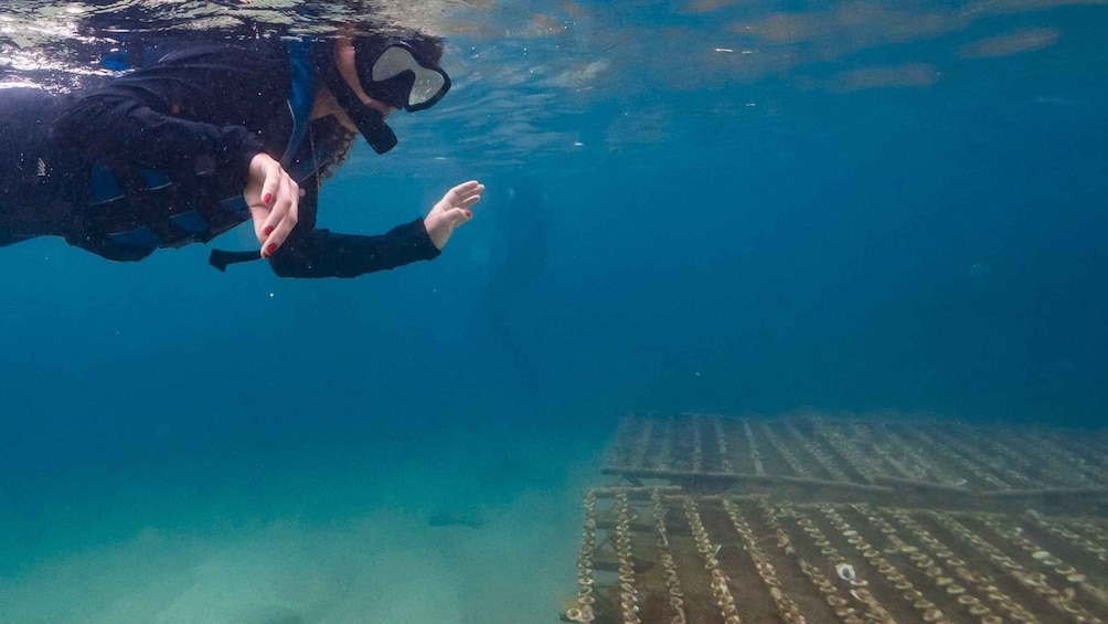 Un buzo bajo el agua, con un naufragio visible al fondo. 2