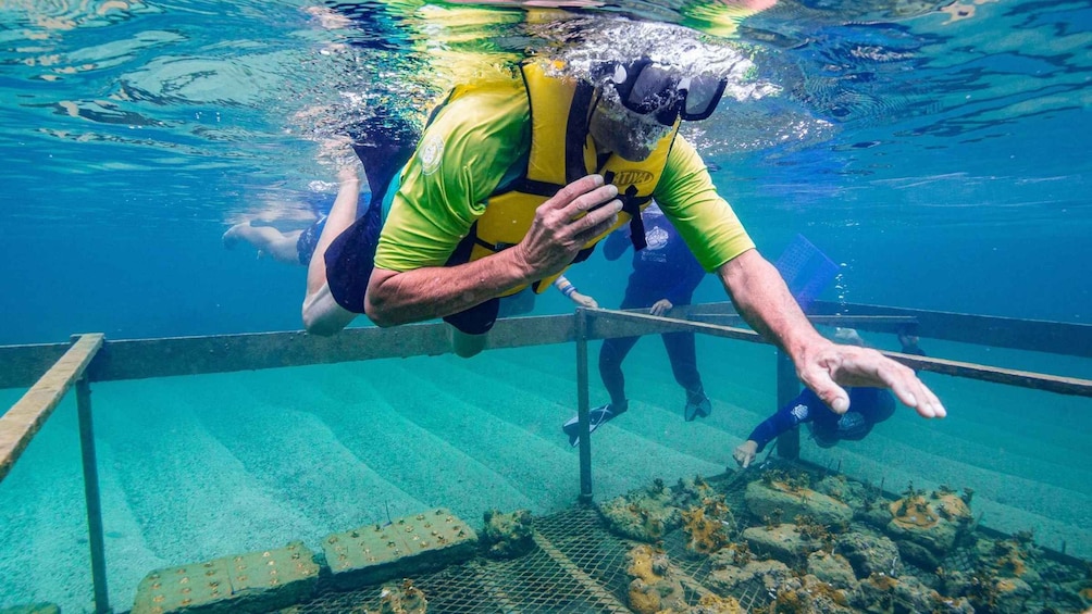 Un buceador bajo el agua en una piscina, usando un chaleco salvavidas amarillo y gafas. 1