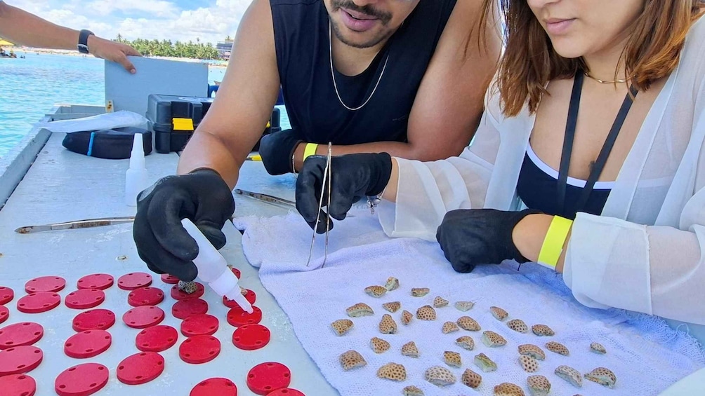 Dos personas manipulando objetos pequeños en un bote con elementos circulares rojos y un paño blanco. 5
