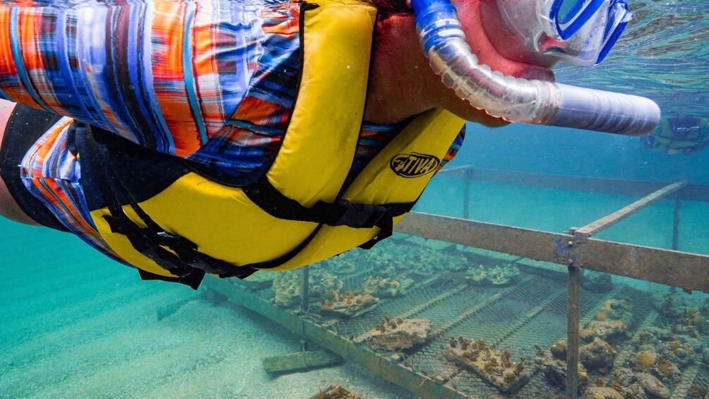 Un buceador con chaleco salvavidas amarillo y un snorkel bajo el agua. 4