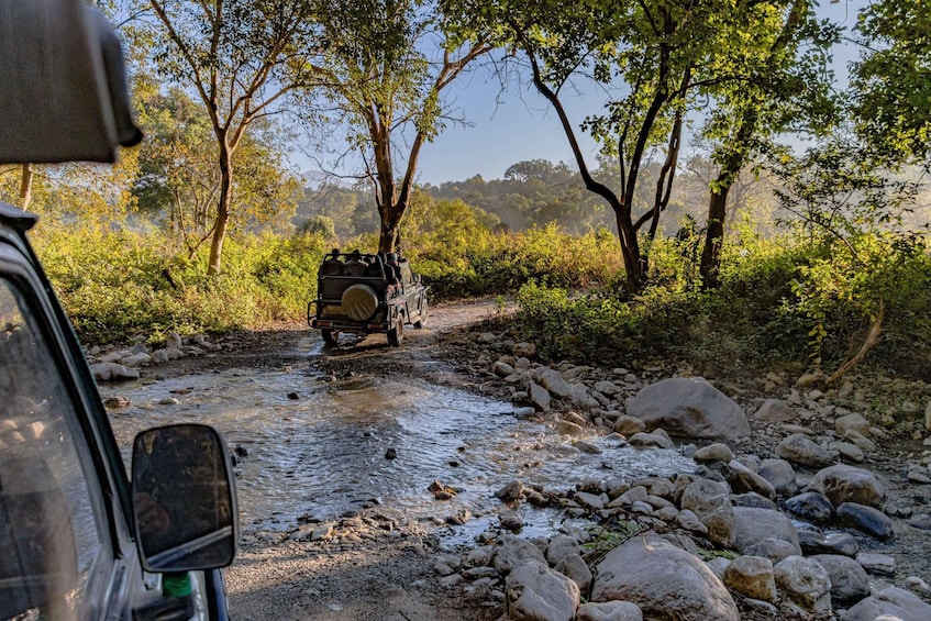 Ein Jeep durchquert einen steinigen Bach, gesäumt von Bäumen. 2