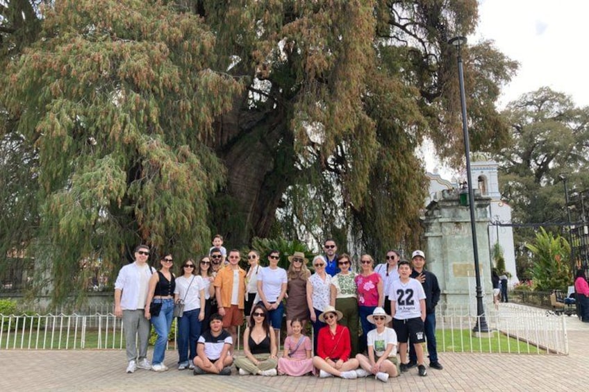 A group of people posing in front of a large tree and a monument. 4