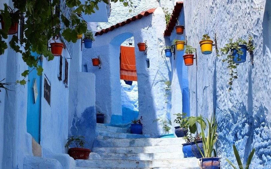 A narrow street with white-washed buildings, colorful doors, and potted plants. 5