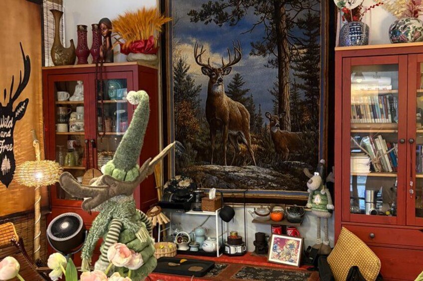 A room with a deer painting, a stuffed animal, and a bookshelf. 3