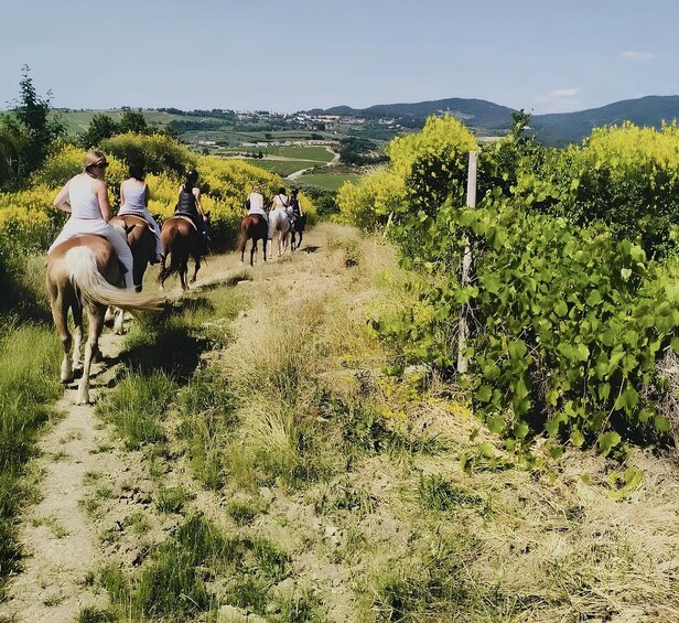 A group of people horseback riding along a dirt path through a vineyard. 5