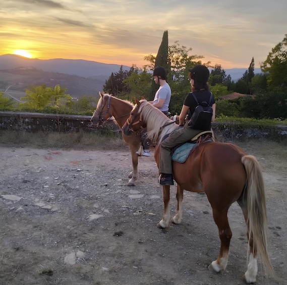 Two people riding horses on a dirt path with a sunset in the background. 3
