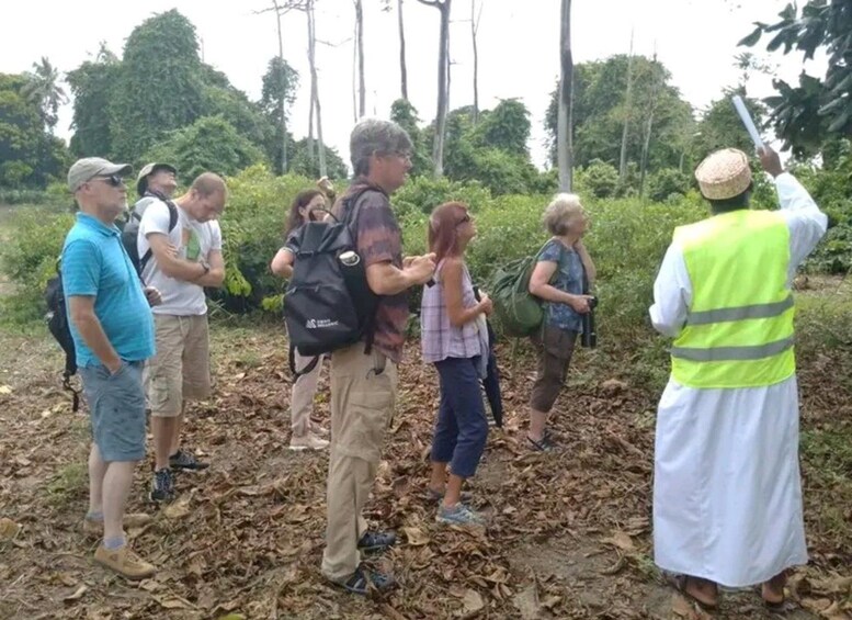 Eine Gruppe von Menschen in bewaldeter Landschaft, einige tragen Rucksäcke und eine Person trägt eine Warnweste. 5