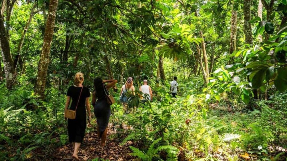 Eine Gruppe von Menschen geht durch einen dichten Wald mit üppigem Grün und Bäumen. 3