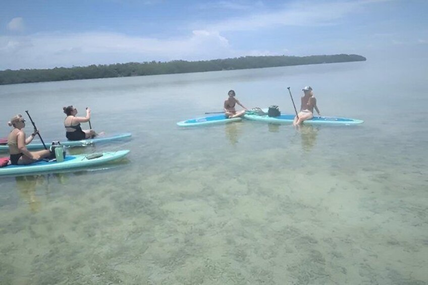 Three people on paddleboards in calm water with a forested shoreline in the background. 2