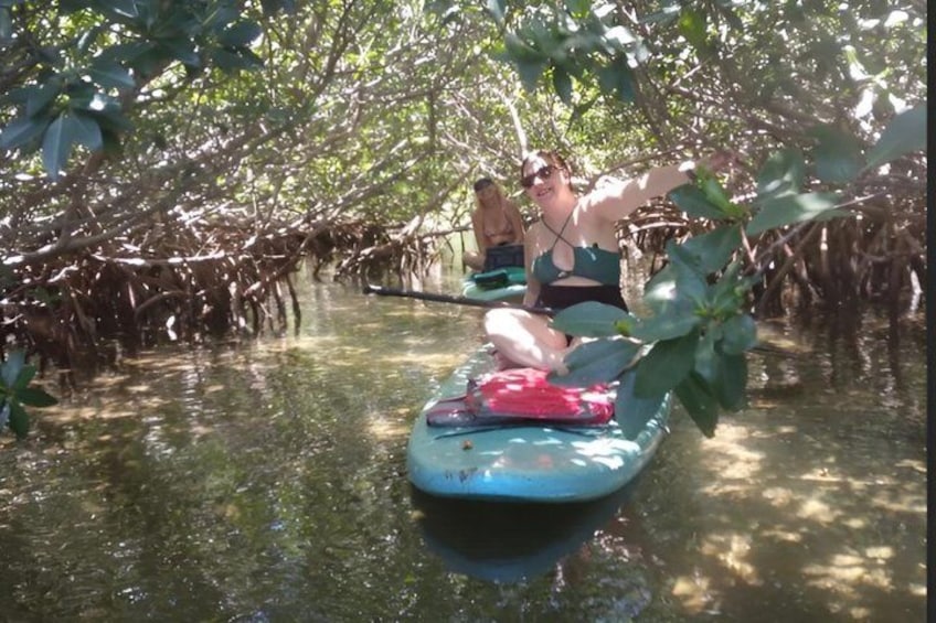 A group of people on a boat in a mangrove area. 1