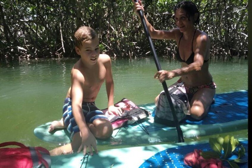 Two people on a paddleboard in a mangrove area. 3
