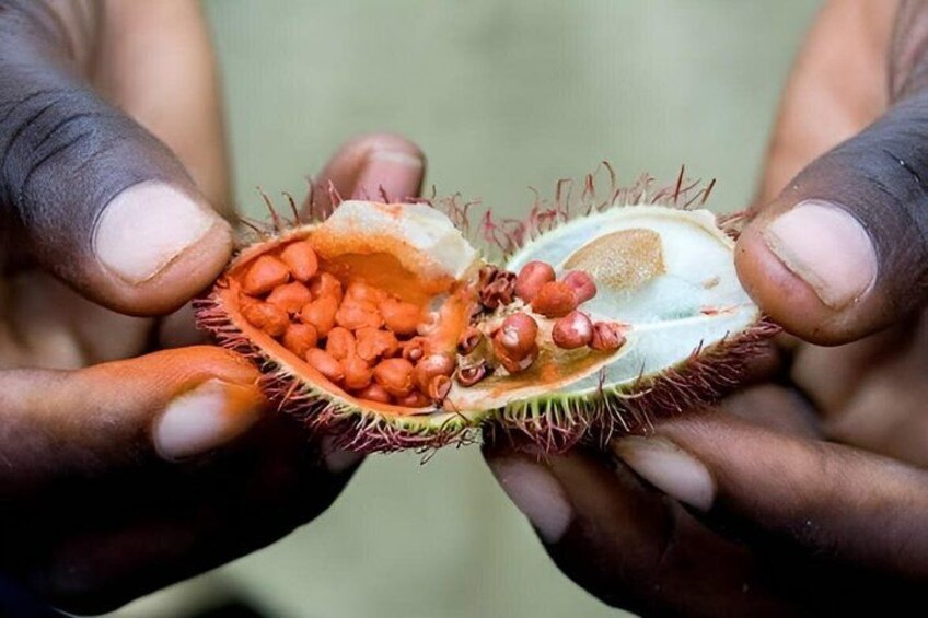 A person holding a spiky fruit with seeds inside. 1