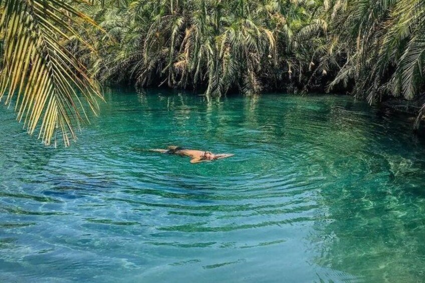 A person swimming in clear blue water surrounded by dense tropical vegetation. 3