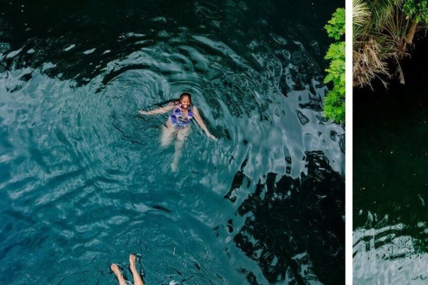 A person swimming in a body of water surrounded by greenery. 2