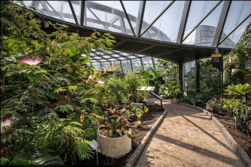 A greenhouse with various plants and a pathway. 1