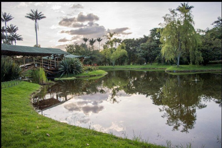 A calm pond with a wooden bridge, surrounded by lush greenery and palm trees. 4