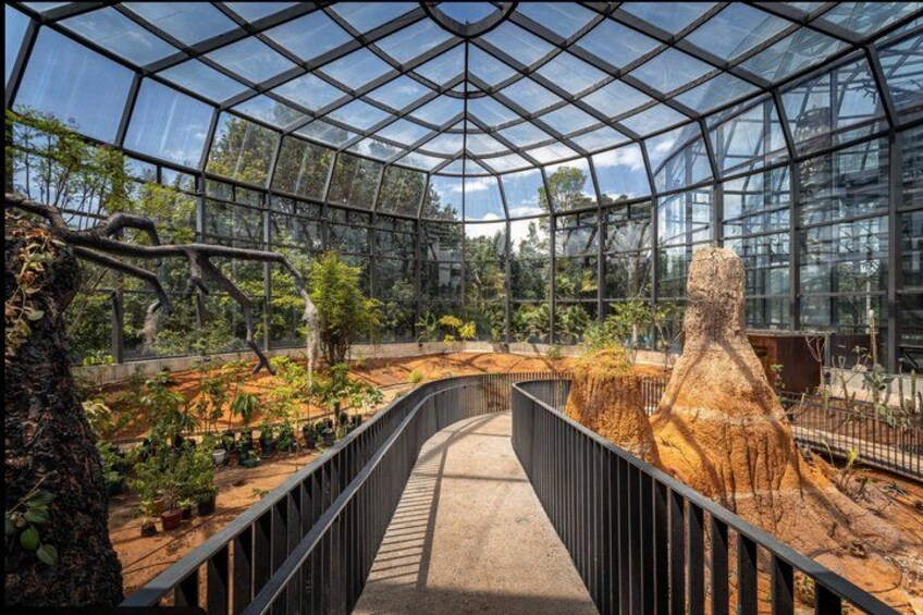 A greenhouse with a glass roof, plants, and a pathway. 5
