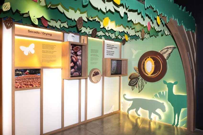 A chocolate exhibit with information panels, a display of cocoa beans, and a chocolate piece. 5