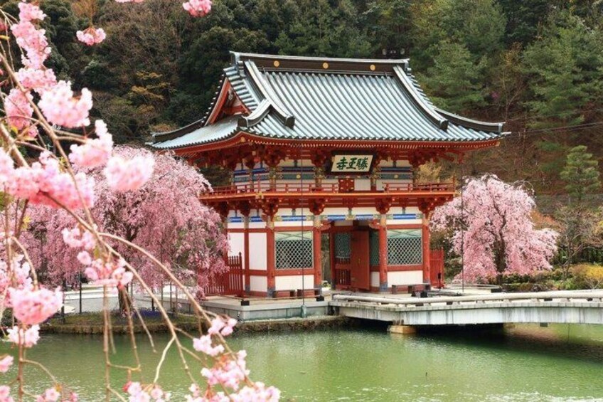 A traditional Japanese building with a tiled roof, surrounded by a pond and cherry blossoms. 2