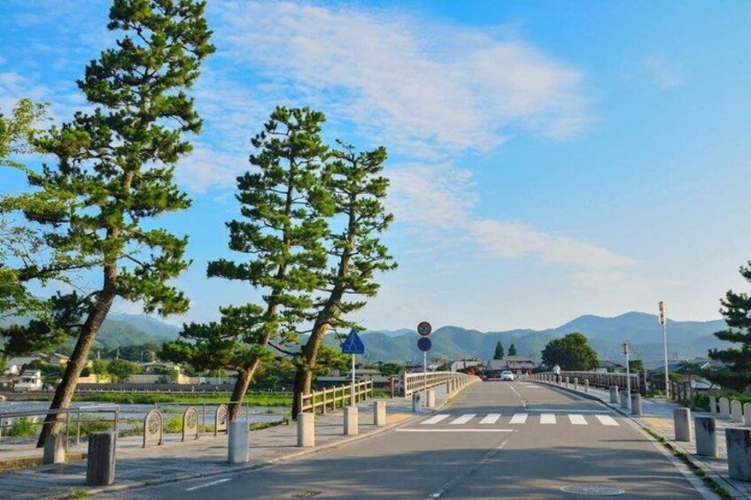 A pedestrian bridge with trees, a road, and distant mountains. 4