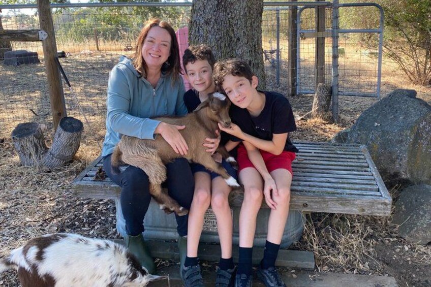 A family with a dog and a goat in a fenced outdoor area with trees and a bench. 3