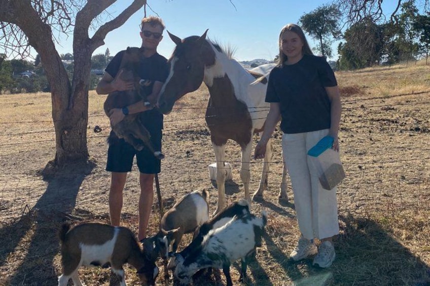 A person holding a child, a horse, and several goats in a dry, open field with sparse trees. 4