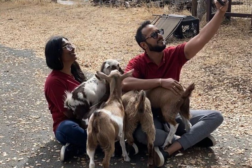 A person taking a selfie with three goats on a dirt ground. 1