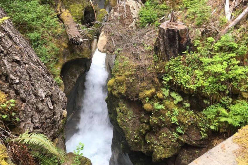 A waterfall in a forested area with moss-covered rocks and ferns. 3