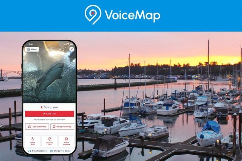 A smartphone displaying a marina with boats and a sunset in the background. 1