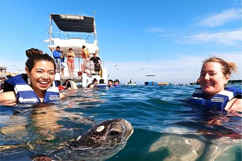 People in the water with a large sea turtle. 5
