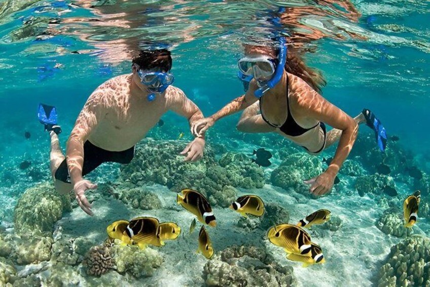 Two people snorkeling underwater with fish. 2