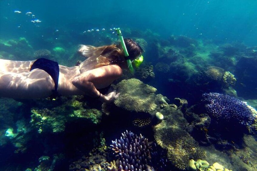 A person snorkeling underwater with coral formations and marine life. 4