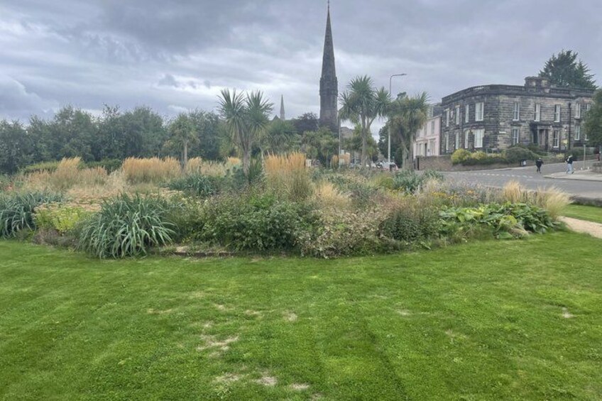 A grassy area with a variety of plants and a tall building in the background. 3
