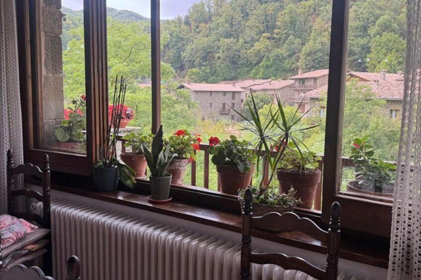 A wooden chair, a radiator, and potted plants on a windowsill with a view of a village and greenery. 5