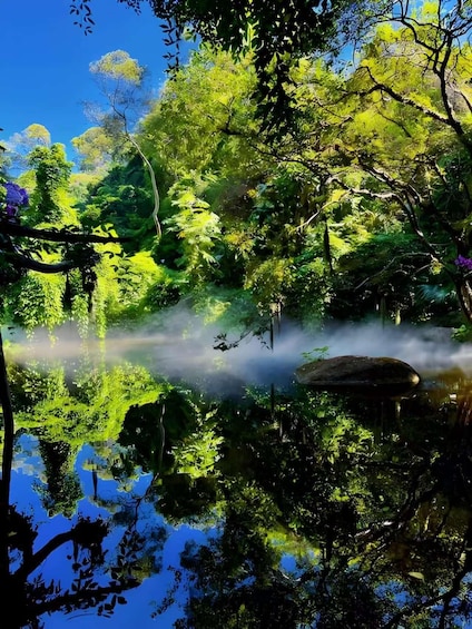 A serene forest scene with a reflective pond, dense foliage, and a clear blue sky. 5