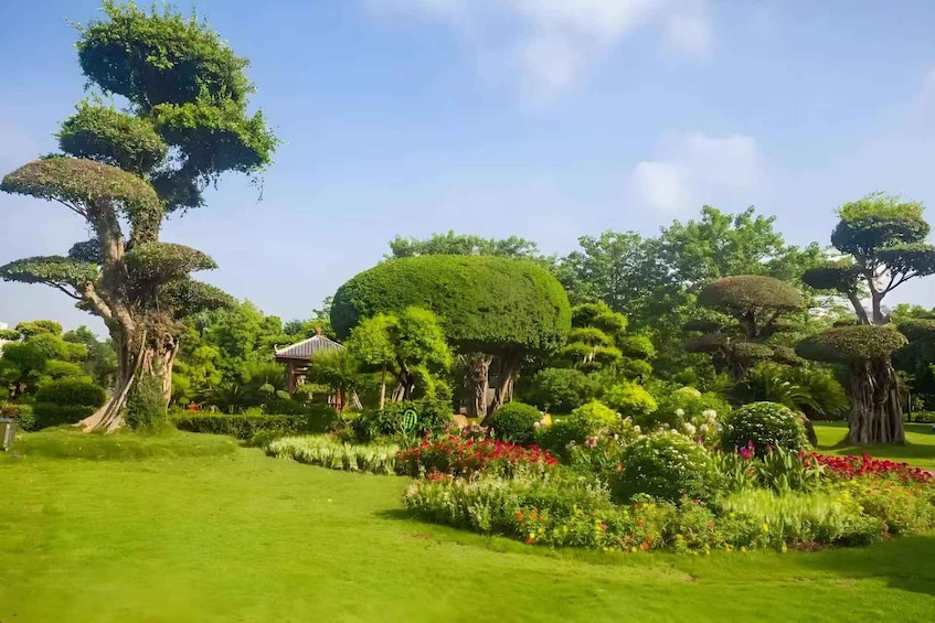 A well-manicured garden with variously shaped topiary trees and a clear pathway. 2
